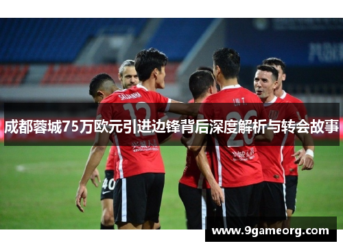 成都蓉城75万欧元引进边锋背后深度解析与转会故事